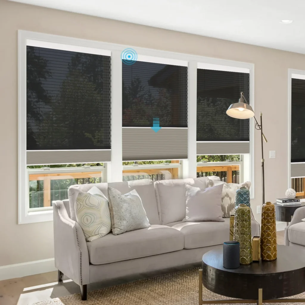 Energy Efficiency & UV Protection